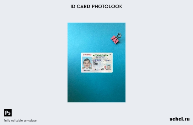 цифровая загрузка США, штат Иллинойс, фотоизображение переднего шаблона удостове
